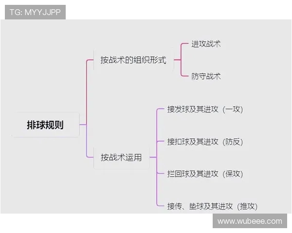 武汉排球队进攻体系解析：排球战术的创新与实践探讨